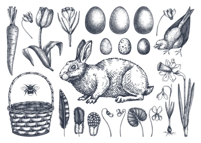 Easter design elements collection. Spring flowers, eggs and rabbit hand-drawings. Hand-sketched spring plants, birds and animals illustrations. Vector Easter sketches set